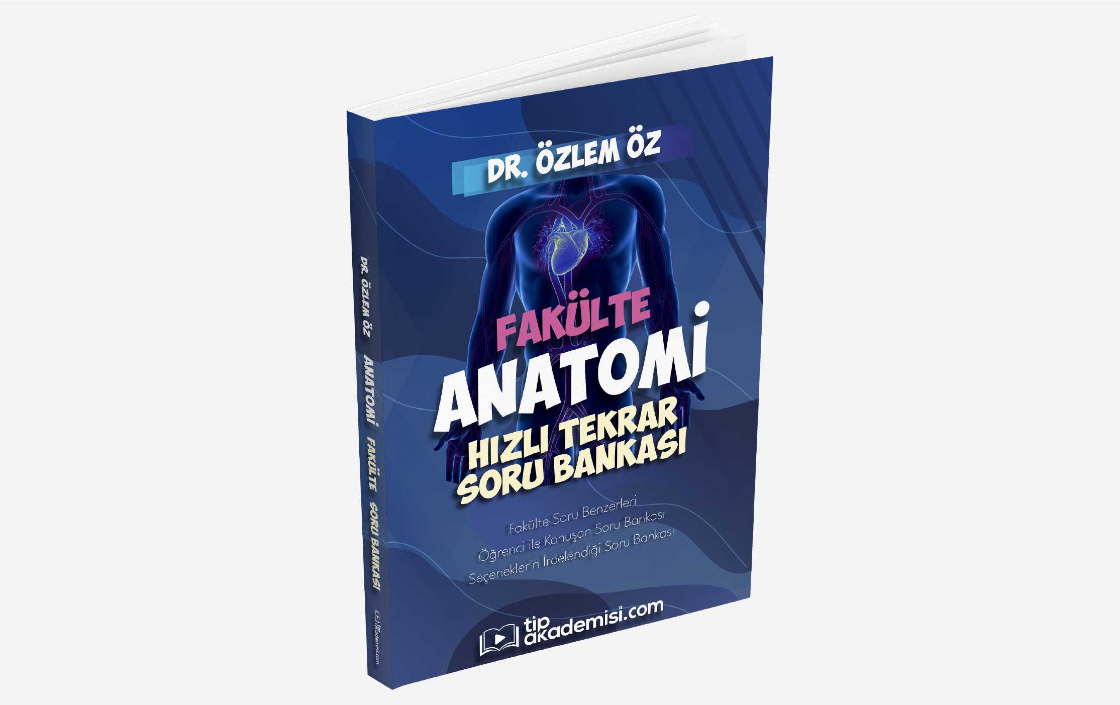 Fakülte Anatomi Hızlı Tekrar Soru Bankası — görsel 7