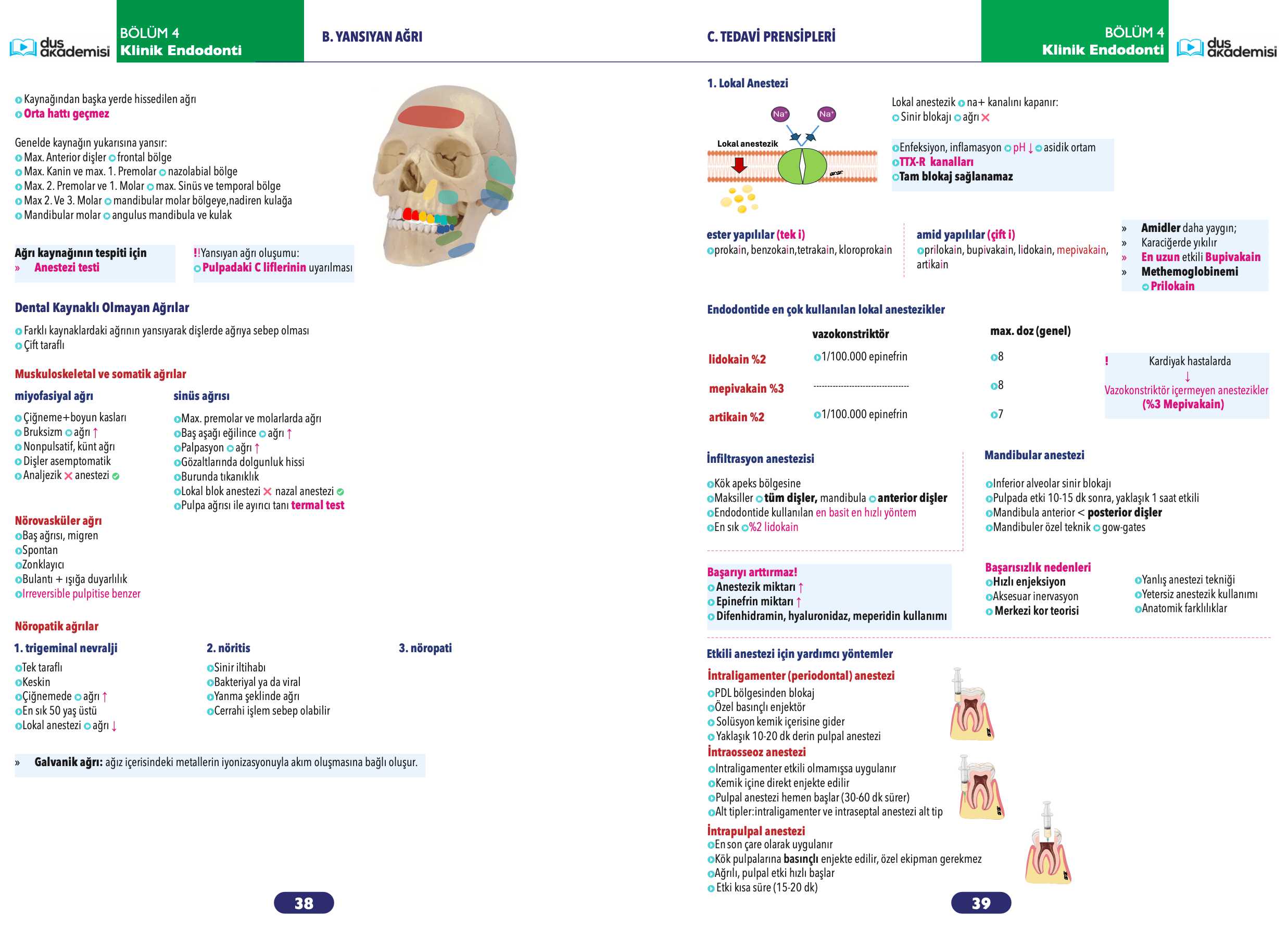 DUS Endodonti Konu Kitabı — görsel 3