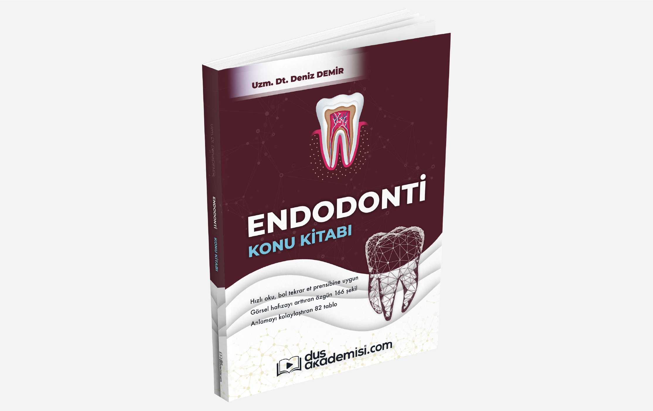 DUS Endodonti Konu Kitabı — görsel 7