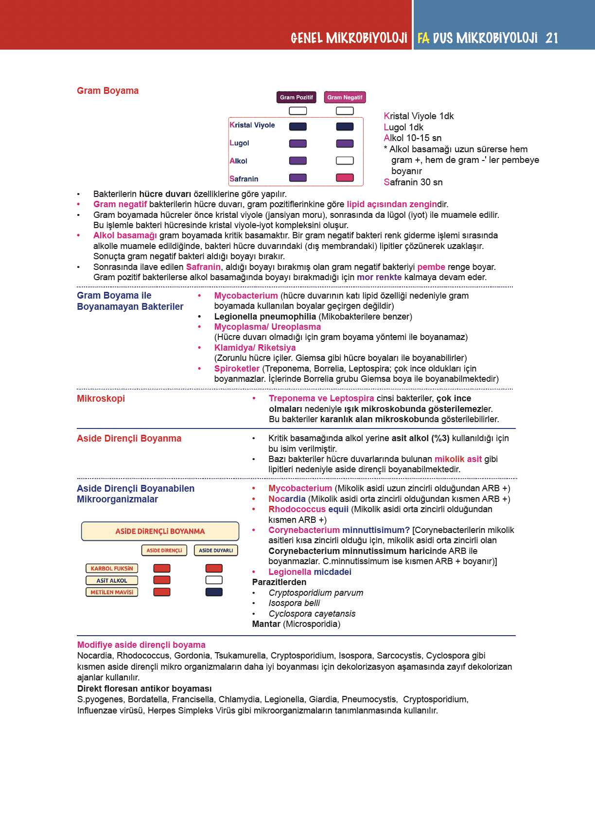 DUS Mikrobiyoloji Konu Kitabı — görsel 2