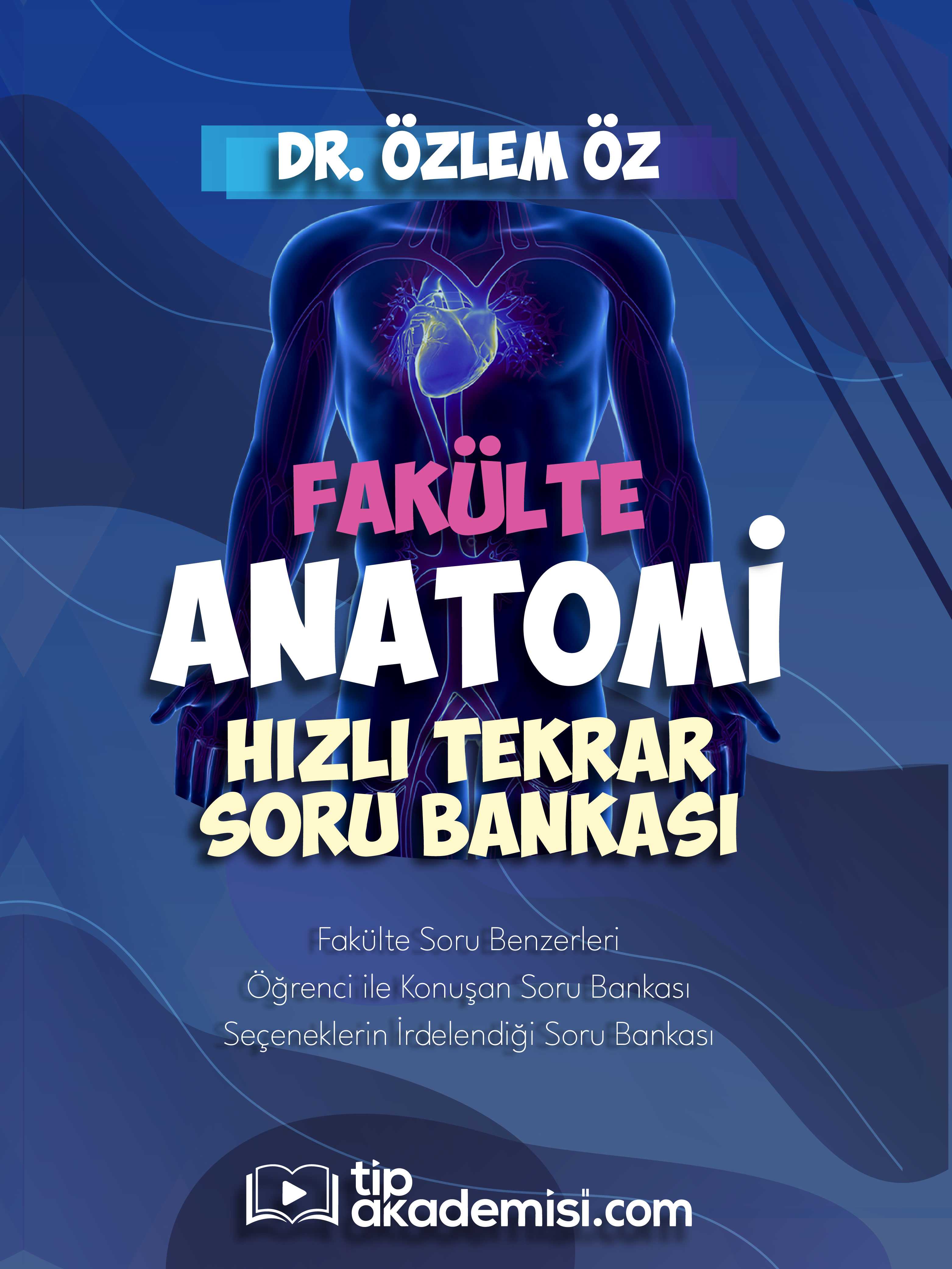 Fakülte Anatomi Hızlı Tekrar Soru Bankası — görsel 2