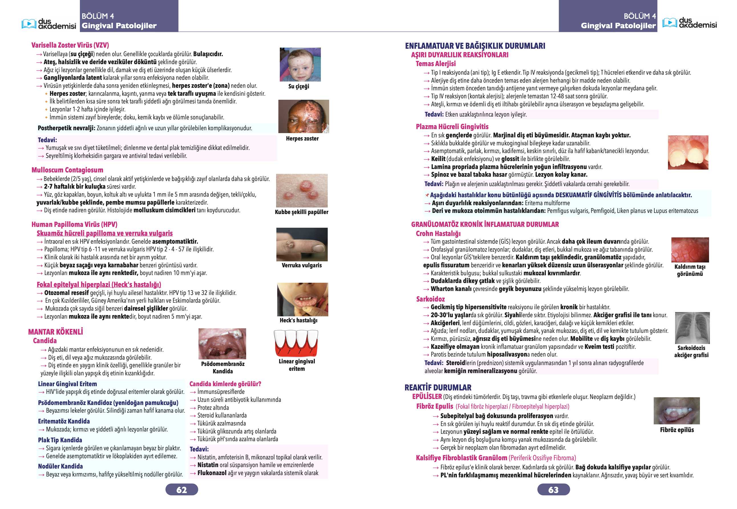 DUS Periodontoloji Konu Kitabı — görsel 5