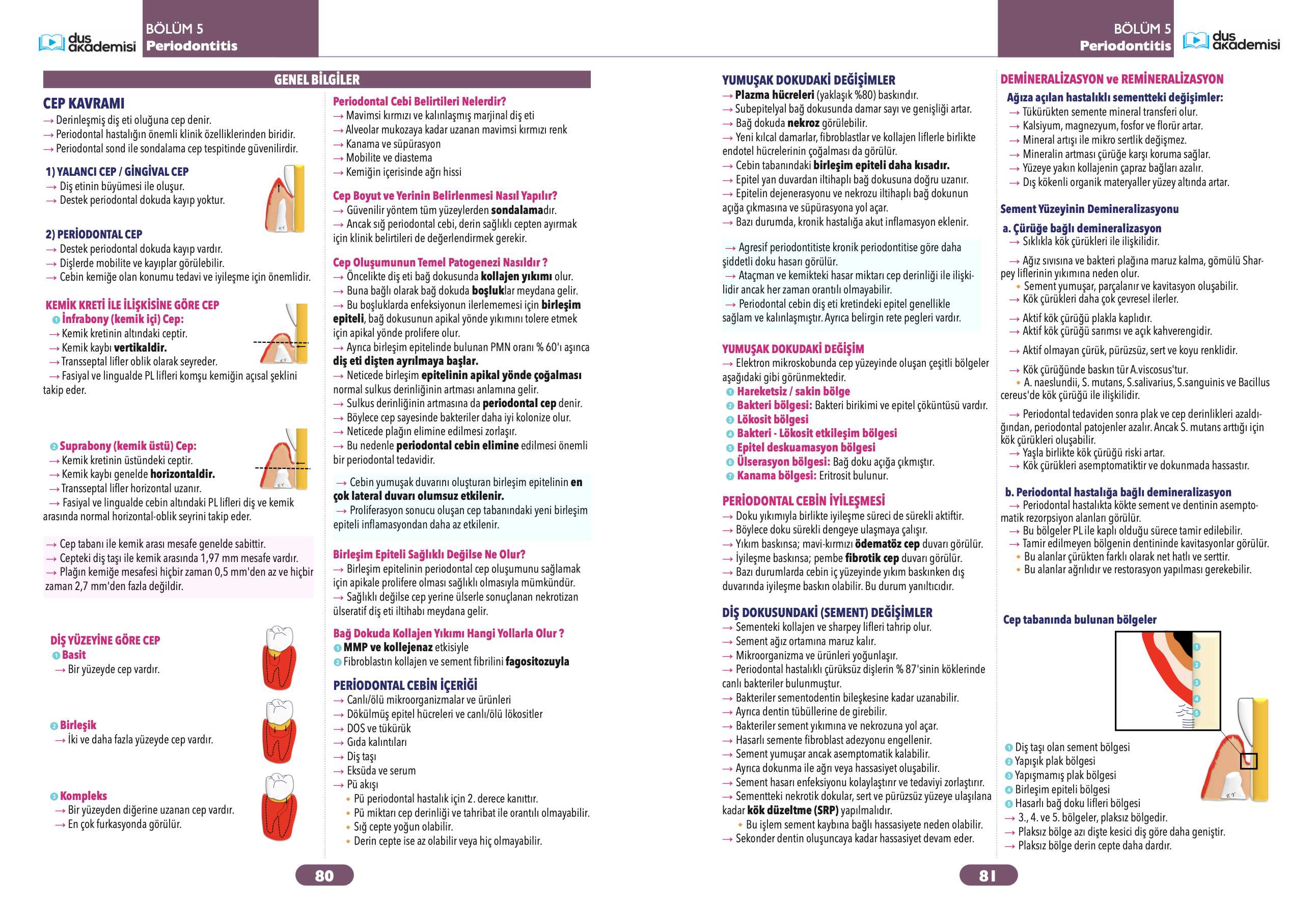 DUS Periodontoloji Konu Kitabı — görsel 4