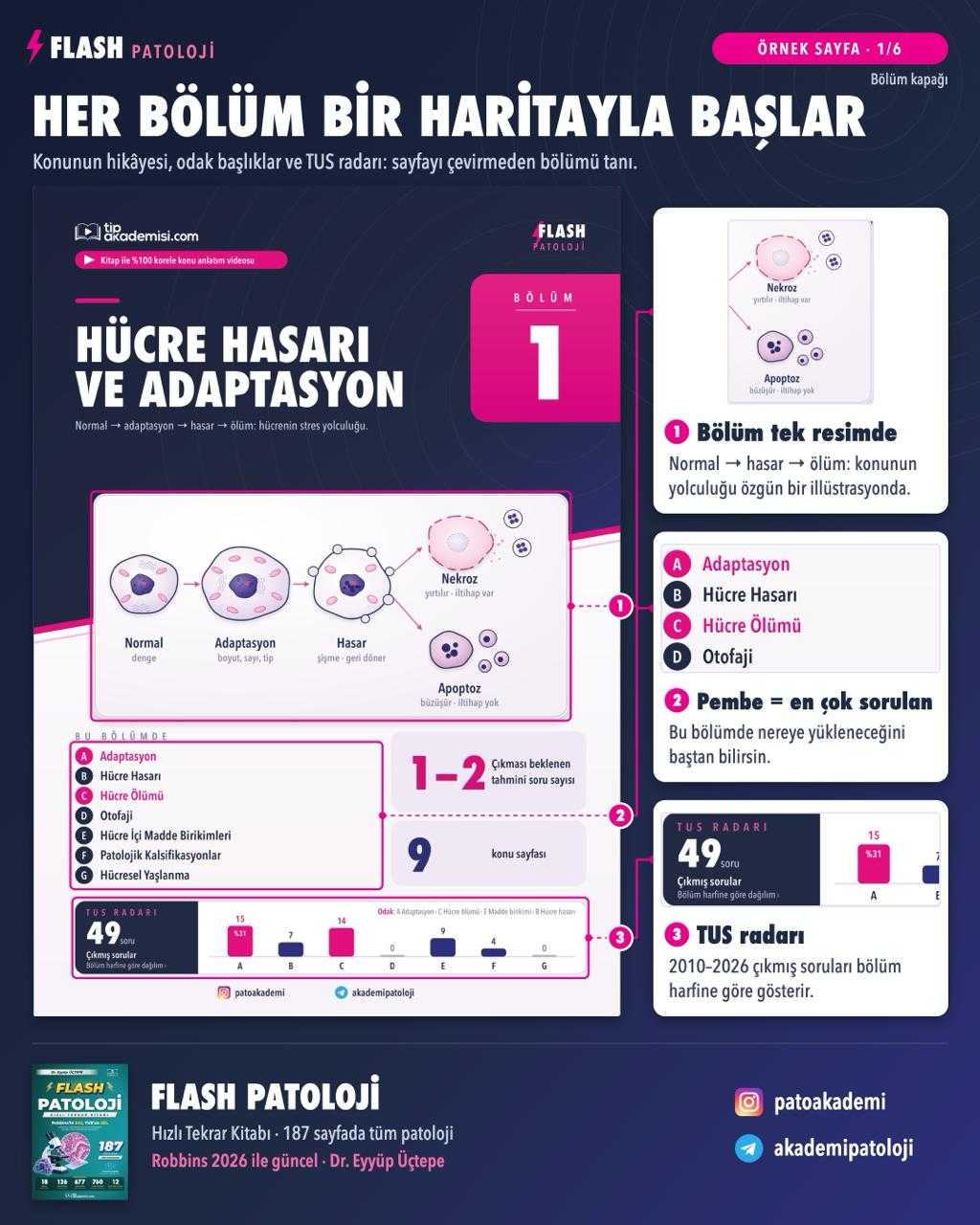 Flash TUS Patoloji Konu Kitabı — görsel 3