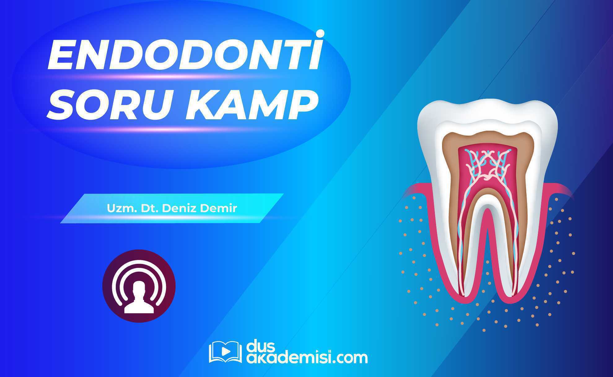 DUS Endodonti Soru Kampı
