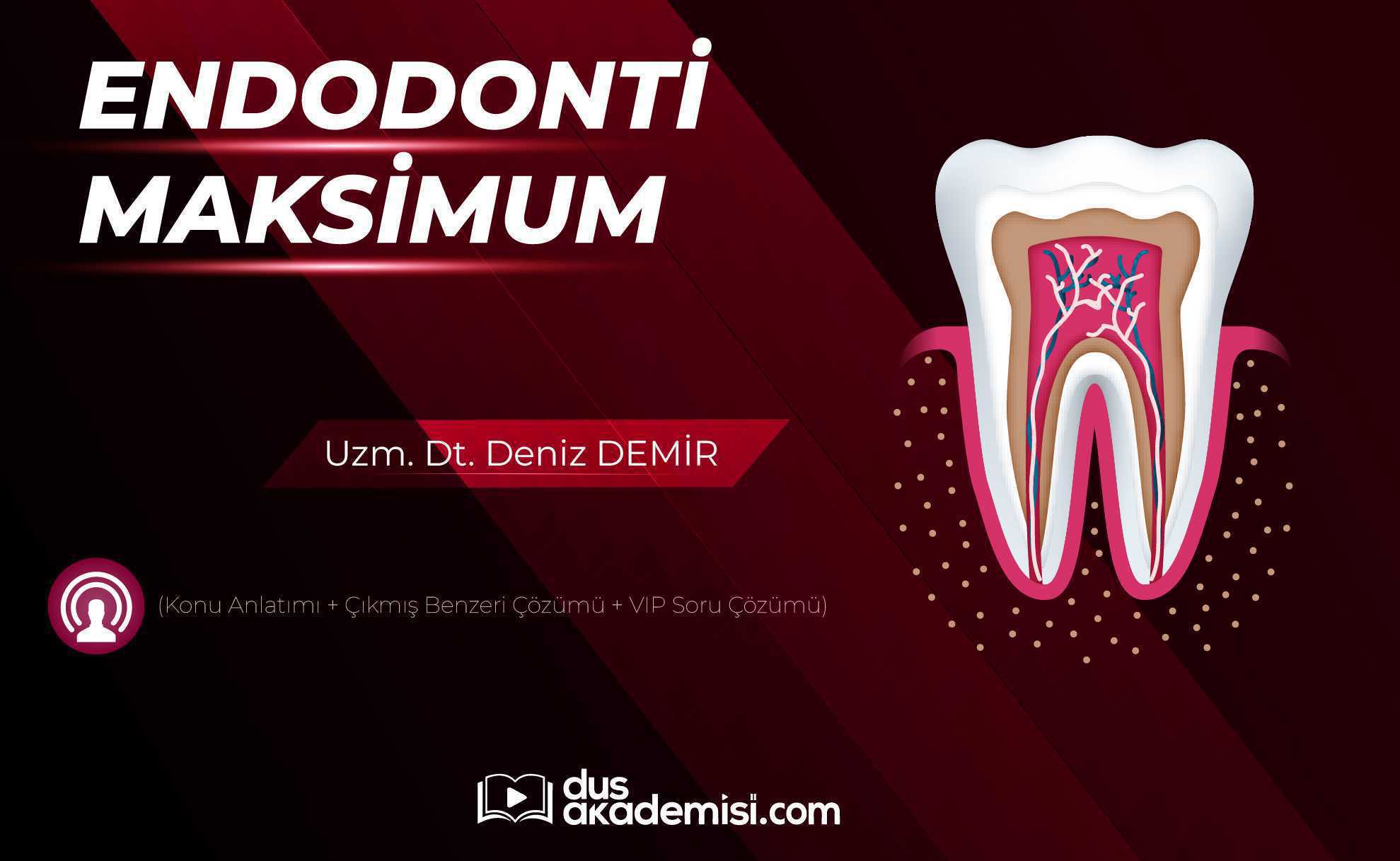 DUS Endodonti Maksimum (Konu Anlatımı + Çıkmış Benzeri Çözümü + VIP Soru Çözümü)