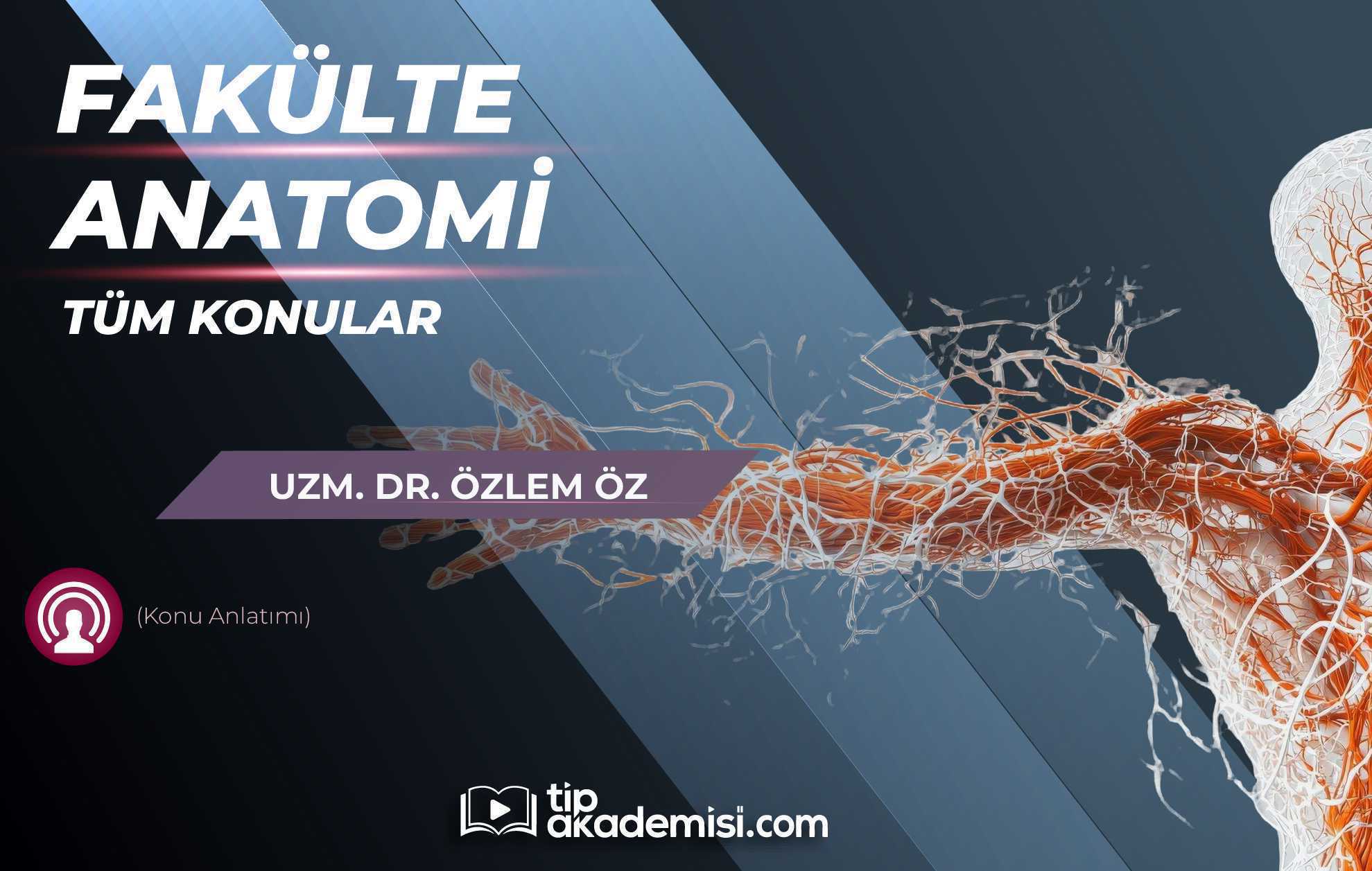 Fakülte Anatomi Konu Anlatım Video Paketi