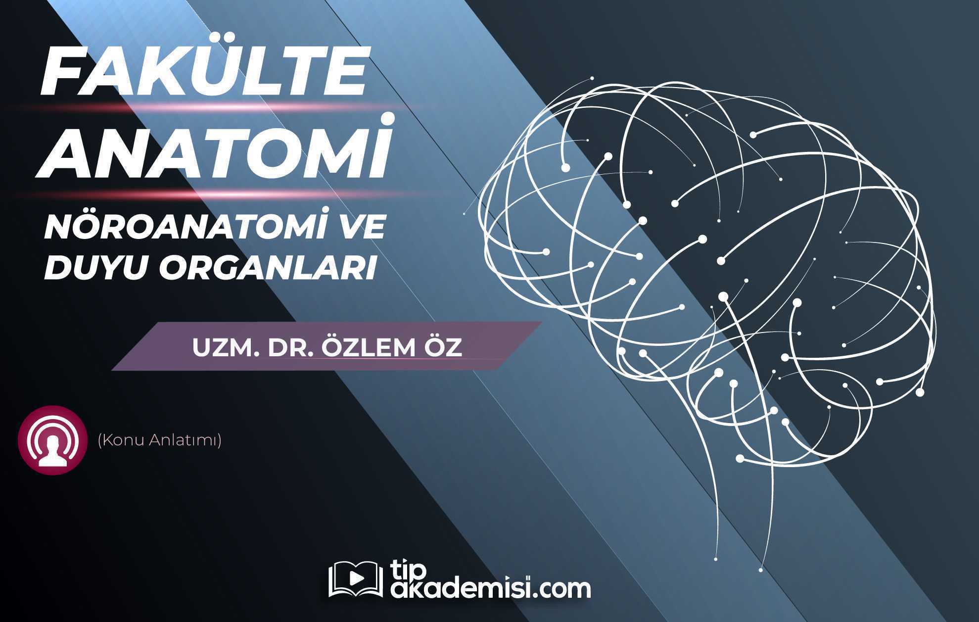 Fakülte Dönem 1-2 Anatomi Nöroanatomi ve Duyu Organları (Konu Anlatımı)