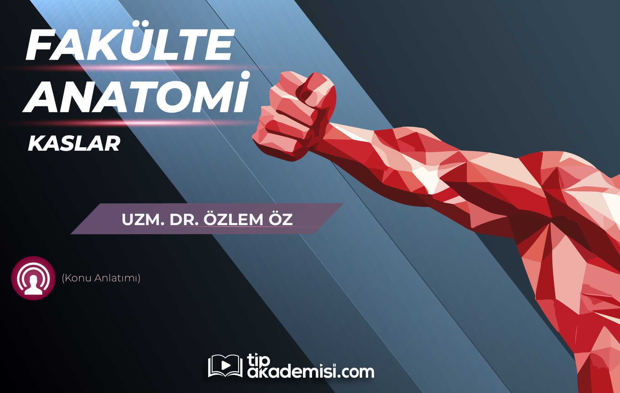 Fakülte Dönem 1-2 Anatomi Kaslar (Konu Anlatımı)