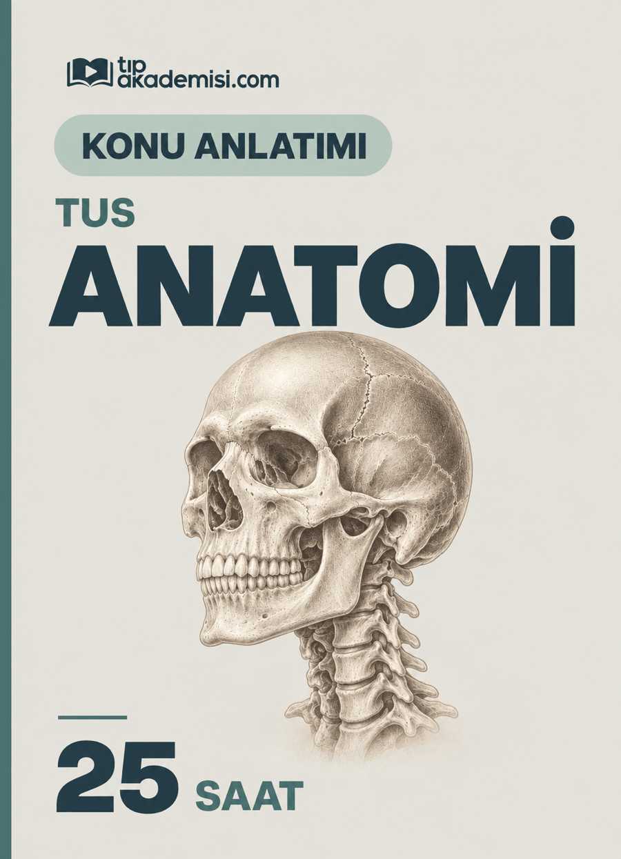 TUS Anatomi Konu Anlatım Video Paketi — görsel 3