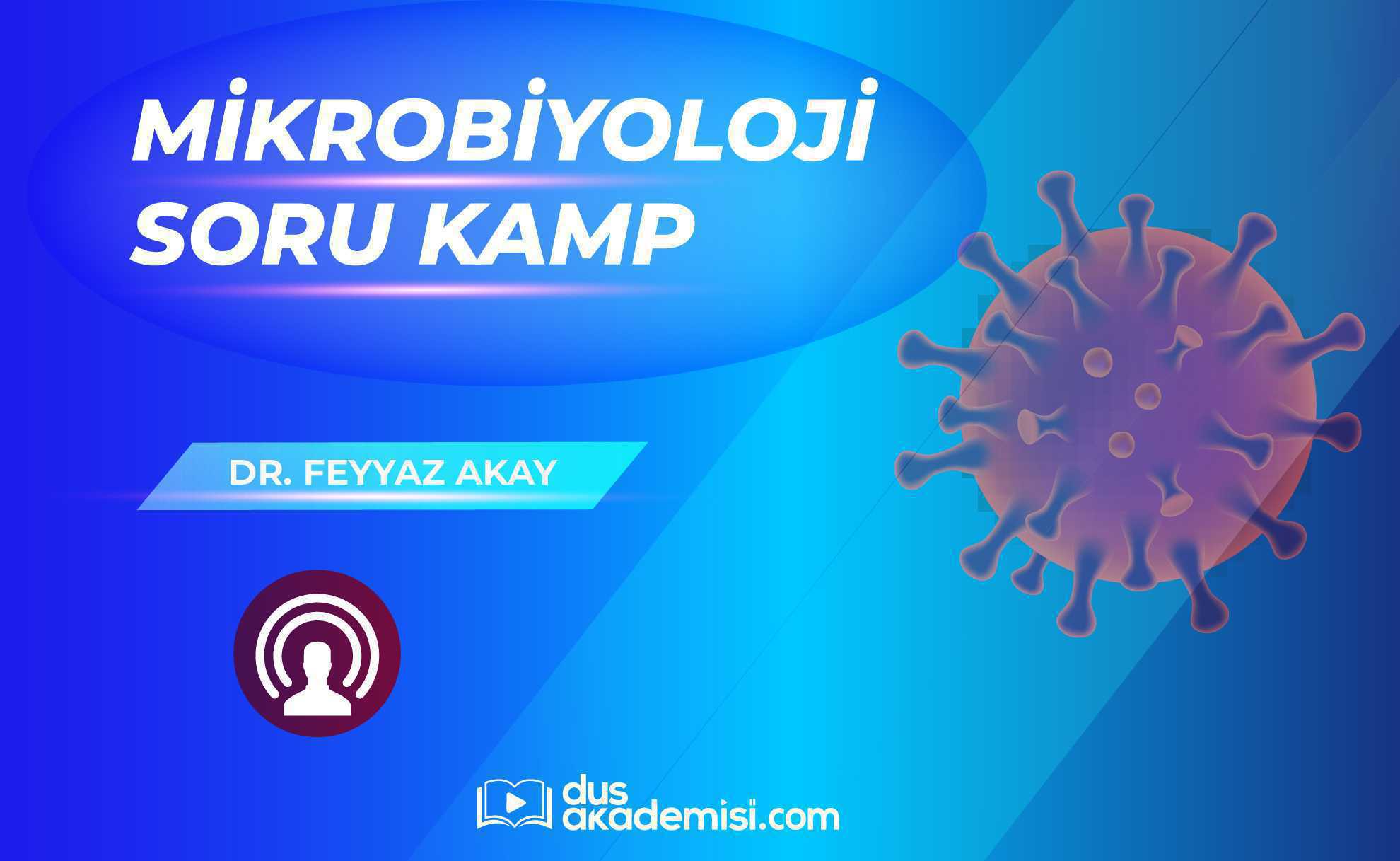 DUS Mikrobiyoloji Soru Kampı