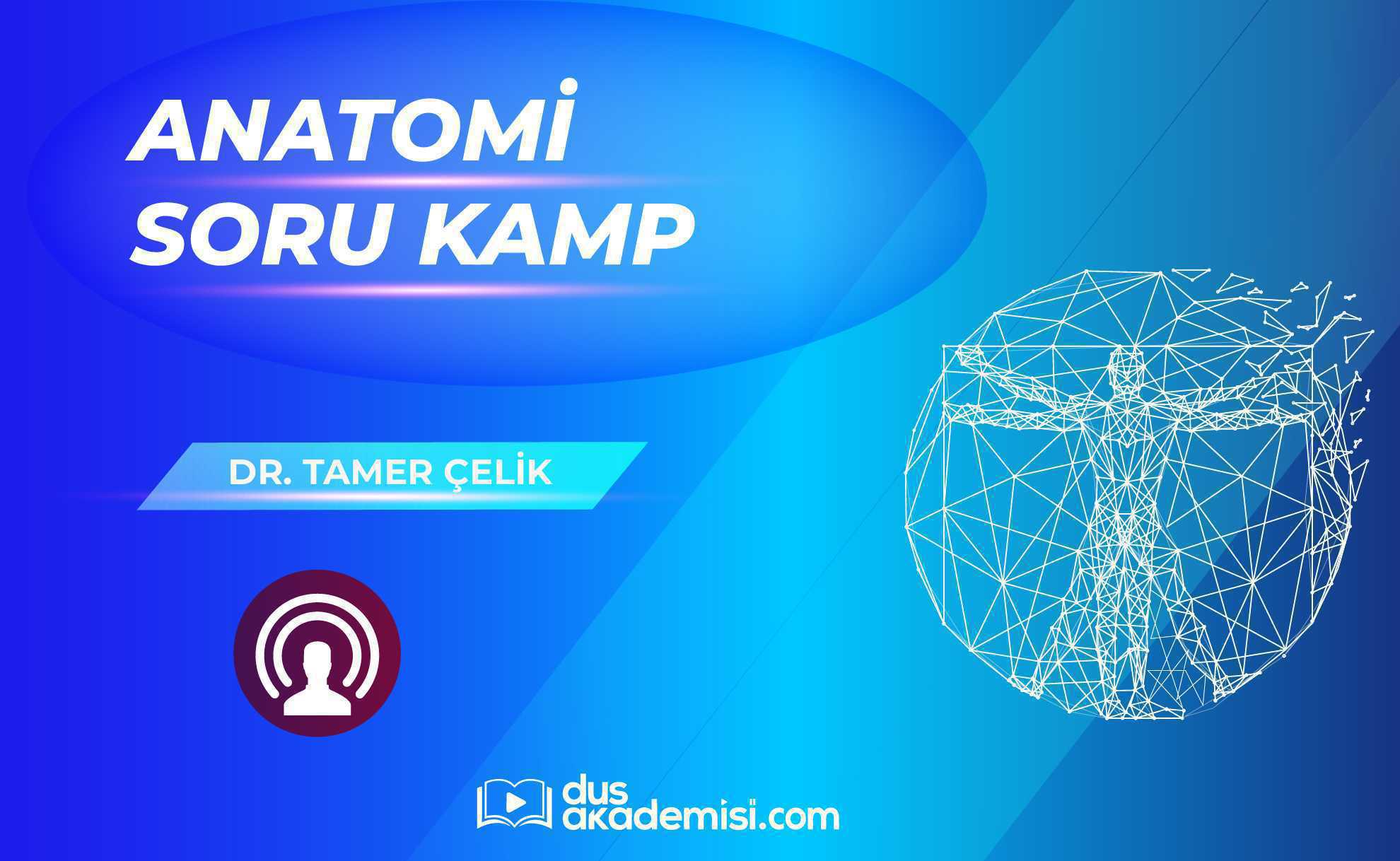 DUS Anatomi Soru Kampı