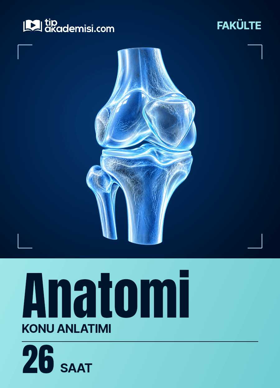 Fakülte Anatomi Konu Anlatım Video Paketi — görsel 5