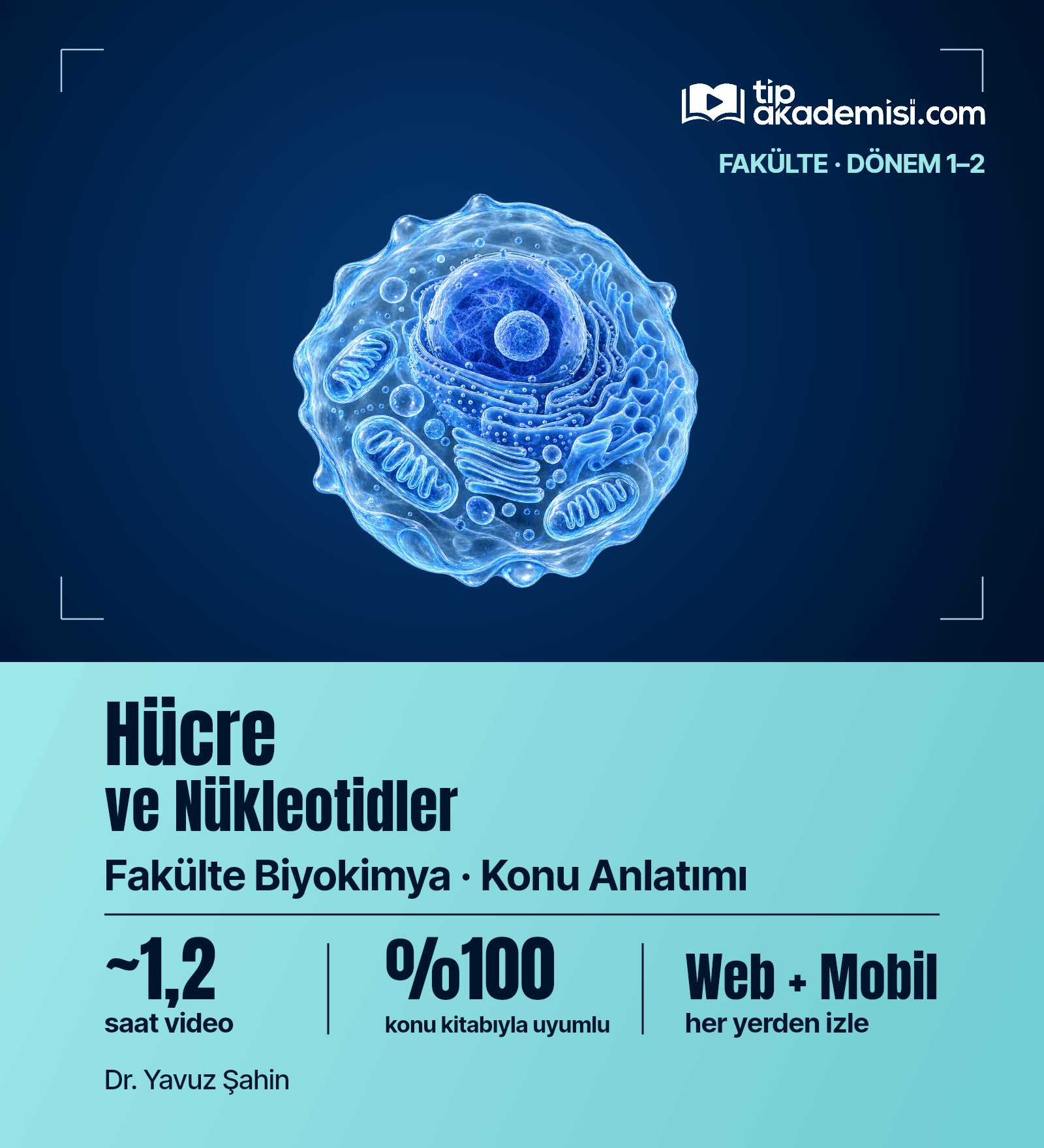 Fakülte Dönem 1-2 Biyokimya Hücre ve Nükleotidler (Konu Anlatımı) — görsel 4