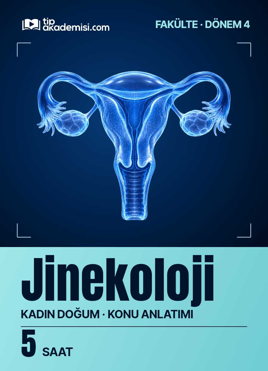 Fakülte Dönem 4 - Kadın Doğum Jinekoloji (Konu Anlatımı) — görsel 5