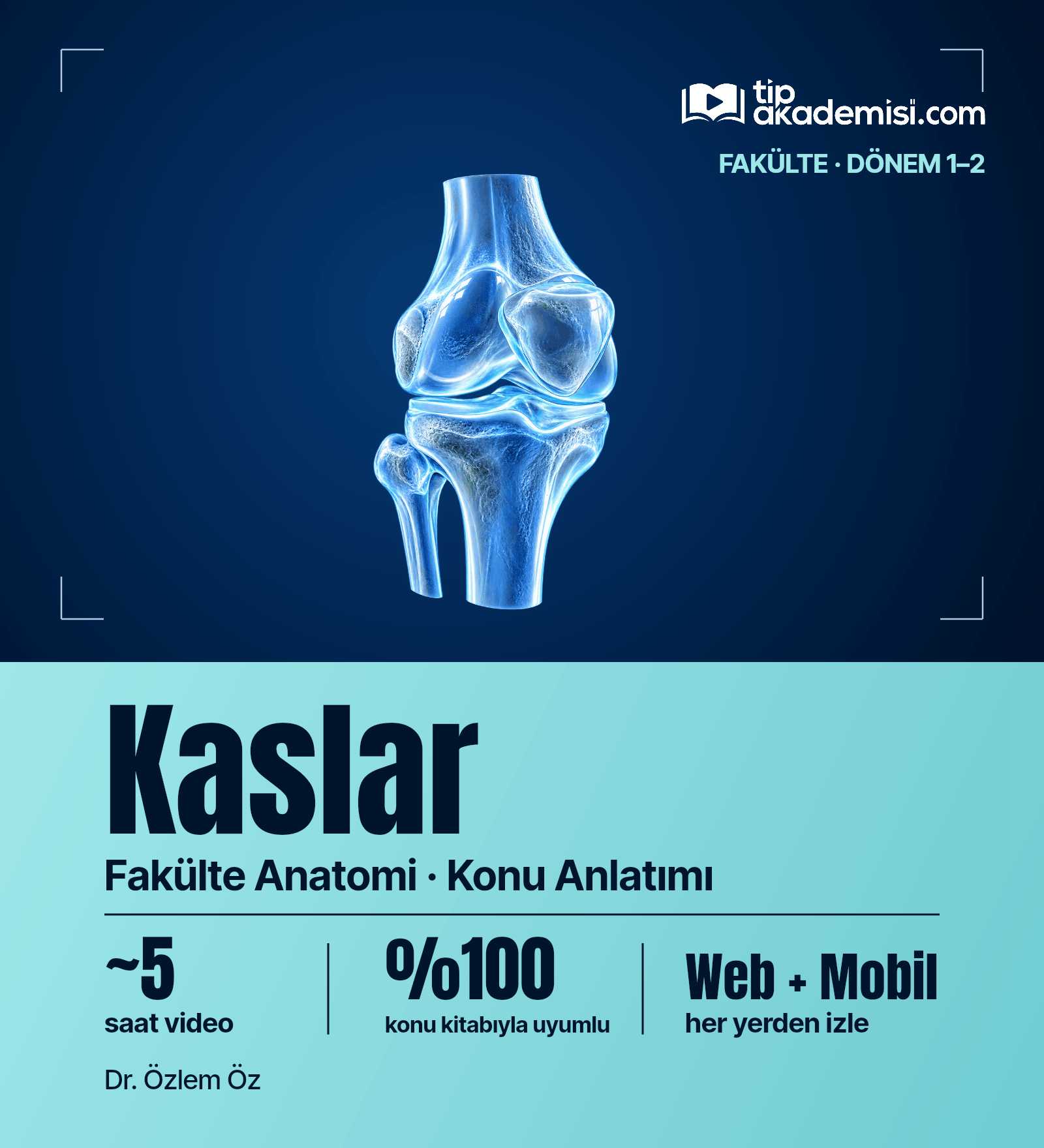 Fakülte Dönem 1-2 Anatomi Kaslar (Konu Anlatımı) — görsel 4