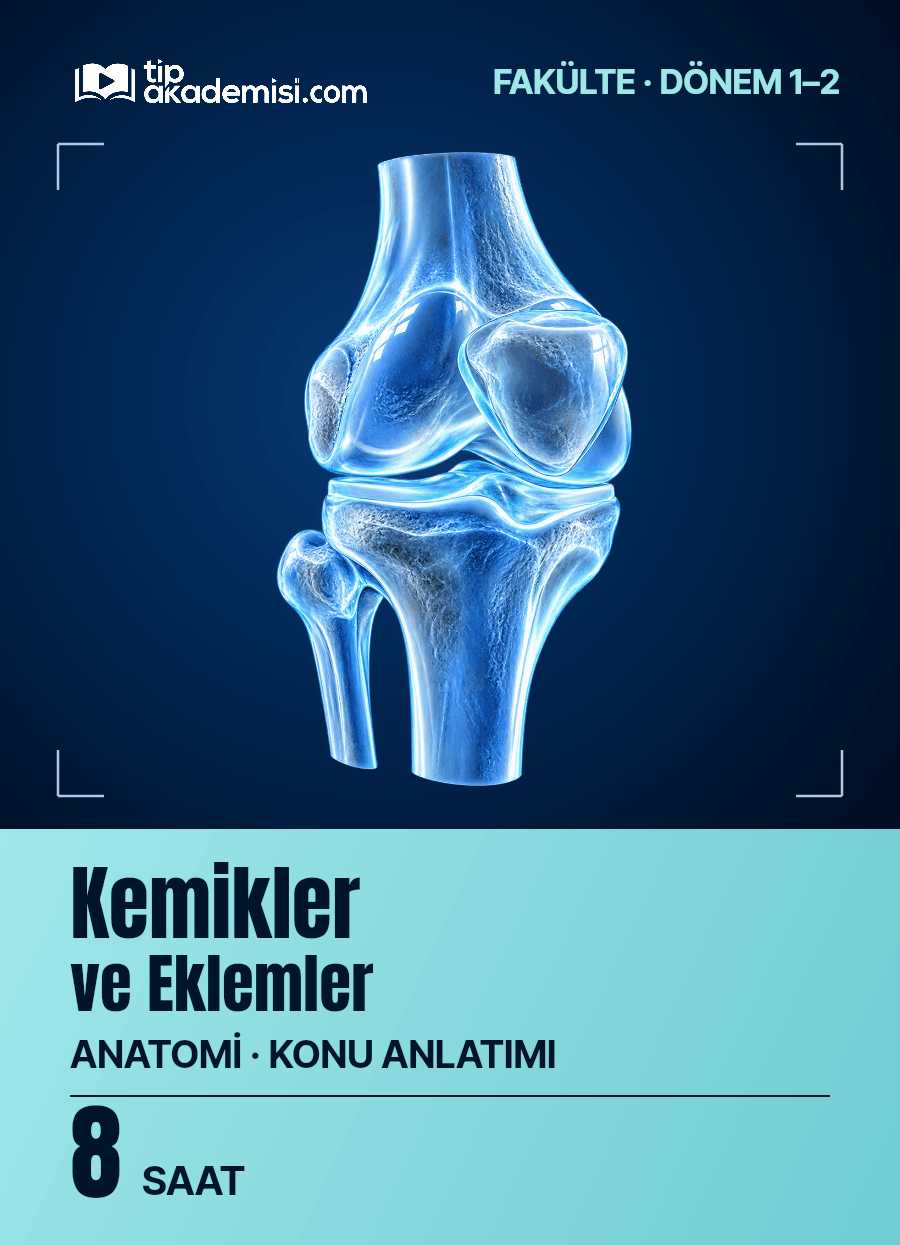 Fakülte Dönem 1-2 Anatomi Kemikler ve Eklemler (Konu Anlatımı) — görsel 5