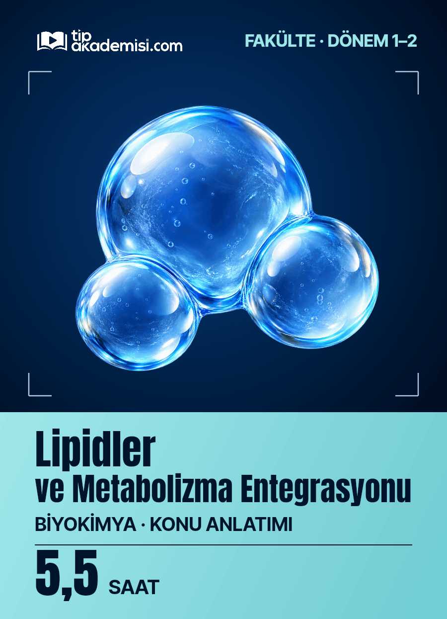 Fakülte Dönem 1-2 Biyokimya Lipidler ve Metabolizma Entegrasyonu (Konu Anlatımı) — görsel 5