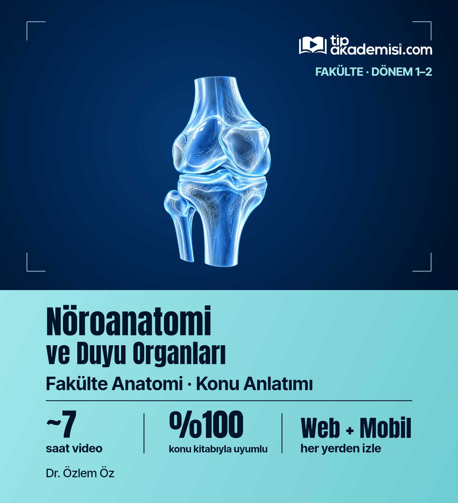 Fakülte Dönem 1-2 Anatomi Nöroanatomi ve Duyu Organları (Konu Anlatımı) — görsel 4