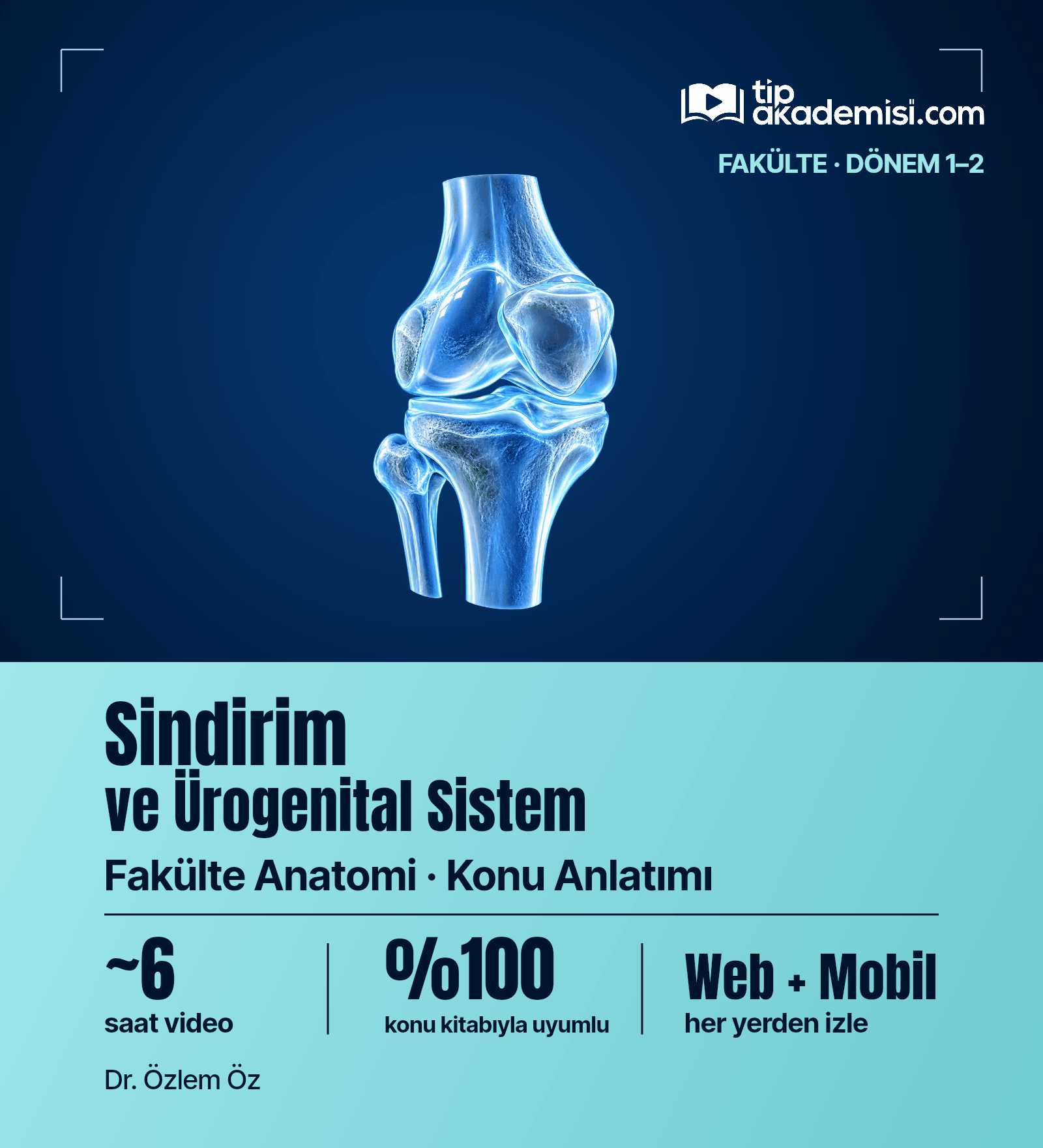 Fakülte Dönem 1-2 Anatomi Sindirim ve Ürogenital Sistemi (Konu Anlatımı) — görsel 4