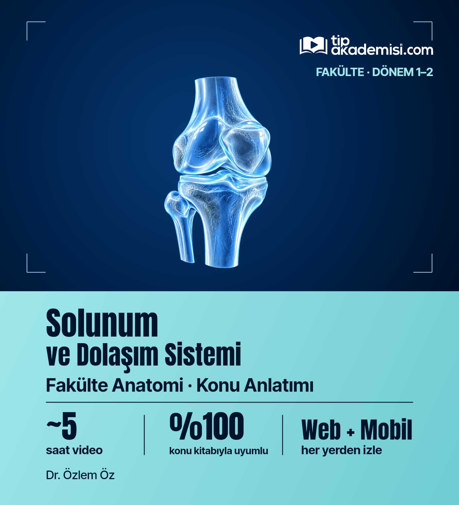 Fakülte Dönem 1-2 Anatomi Solunum ve Dolaşım Sistemi (Konu Anlatımı) — görsel 4