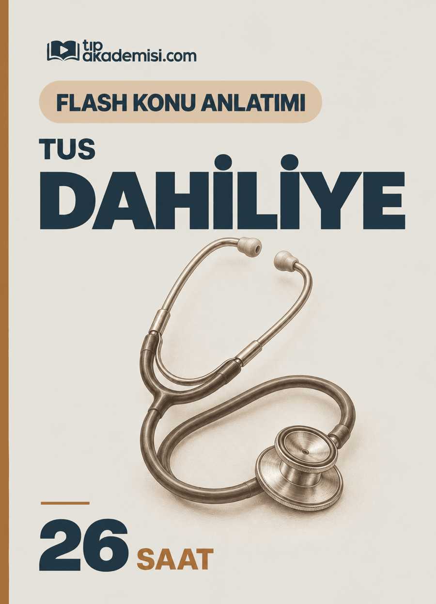 Flash Dahiliye Hızlandırılmış Konu Anlatım Video Paketi — görsel 3