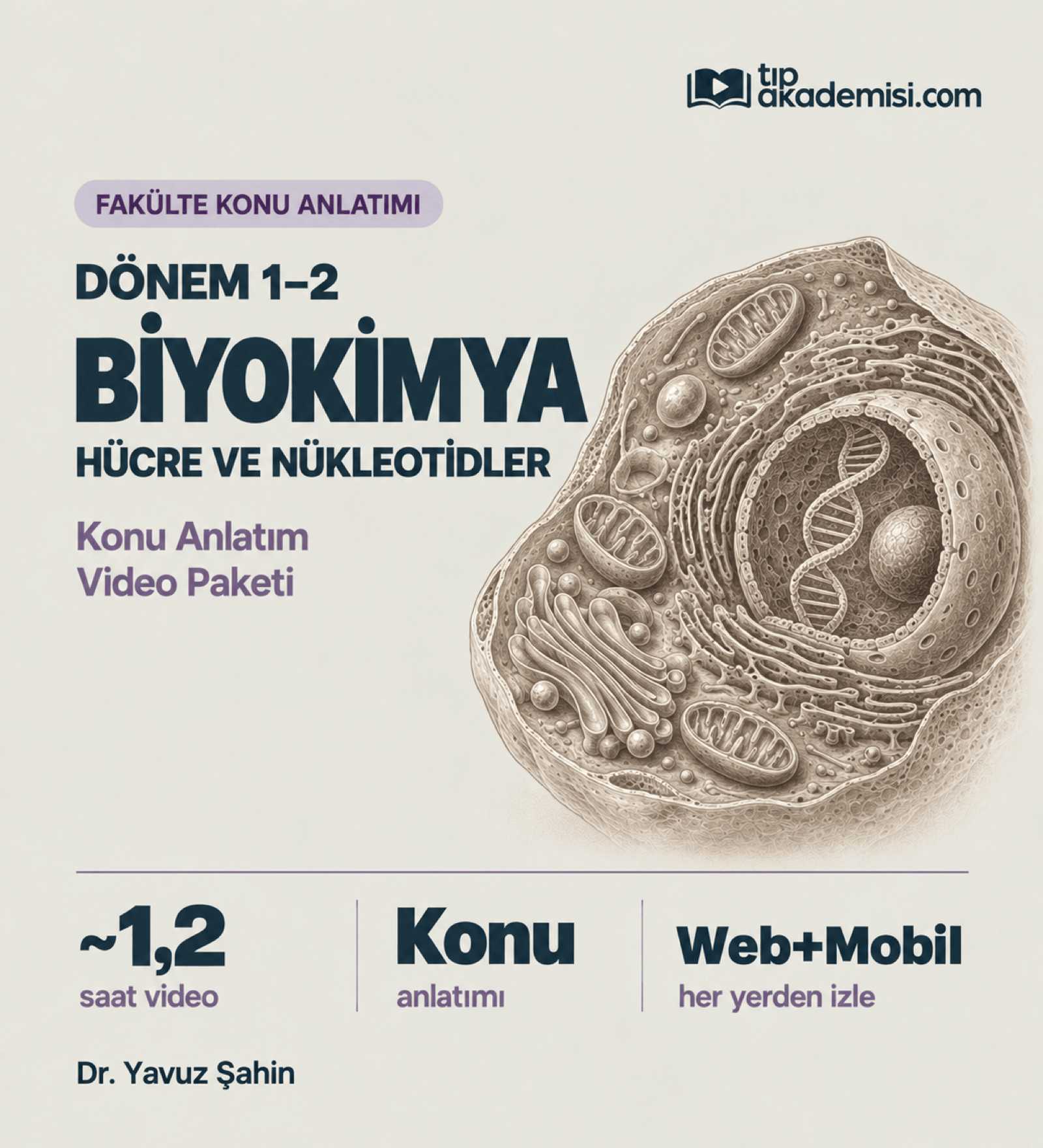 Fakülte Dönem 1-2 Biyokimya Hücre ve Nükleotidler (Konu Anlatımı) — görsel 2