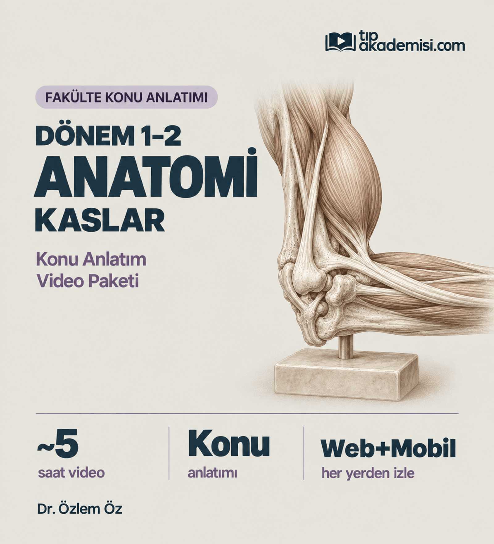 Fakülte Dönem 1-2 Anatomi Kaslar (Konu Anlatımı) — görsel 2