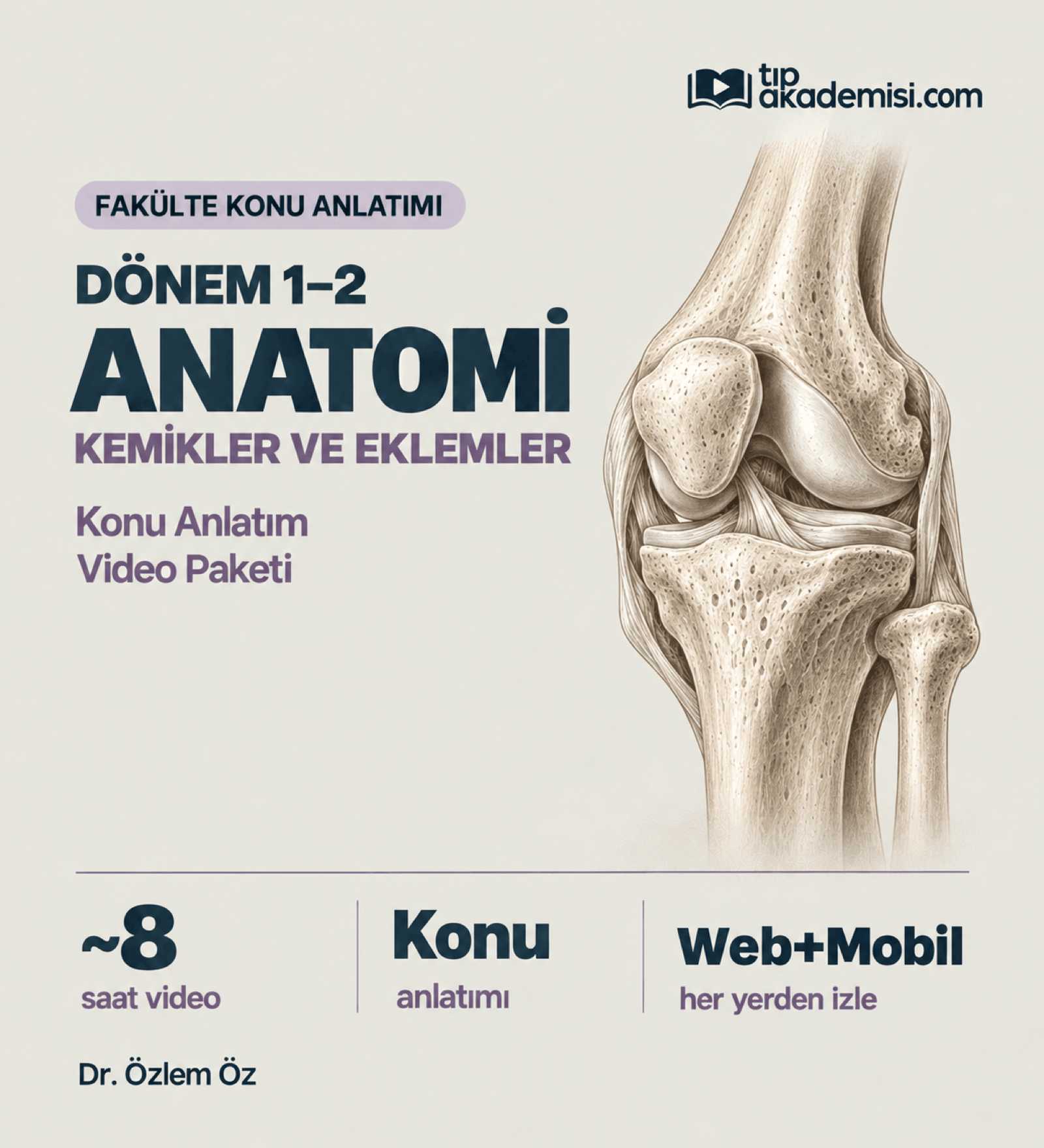 Fakülte Dönem 1-2 Anatomi Kemikler ve Eklemler (Konu Anlatımı) — görsel 2