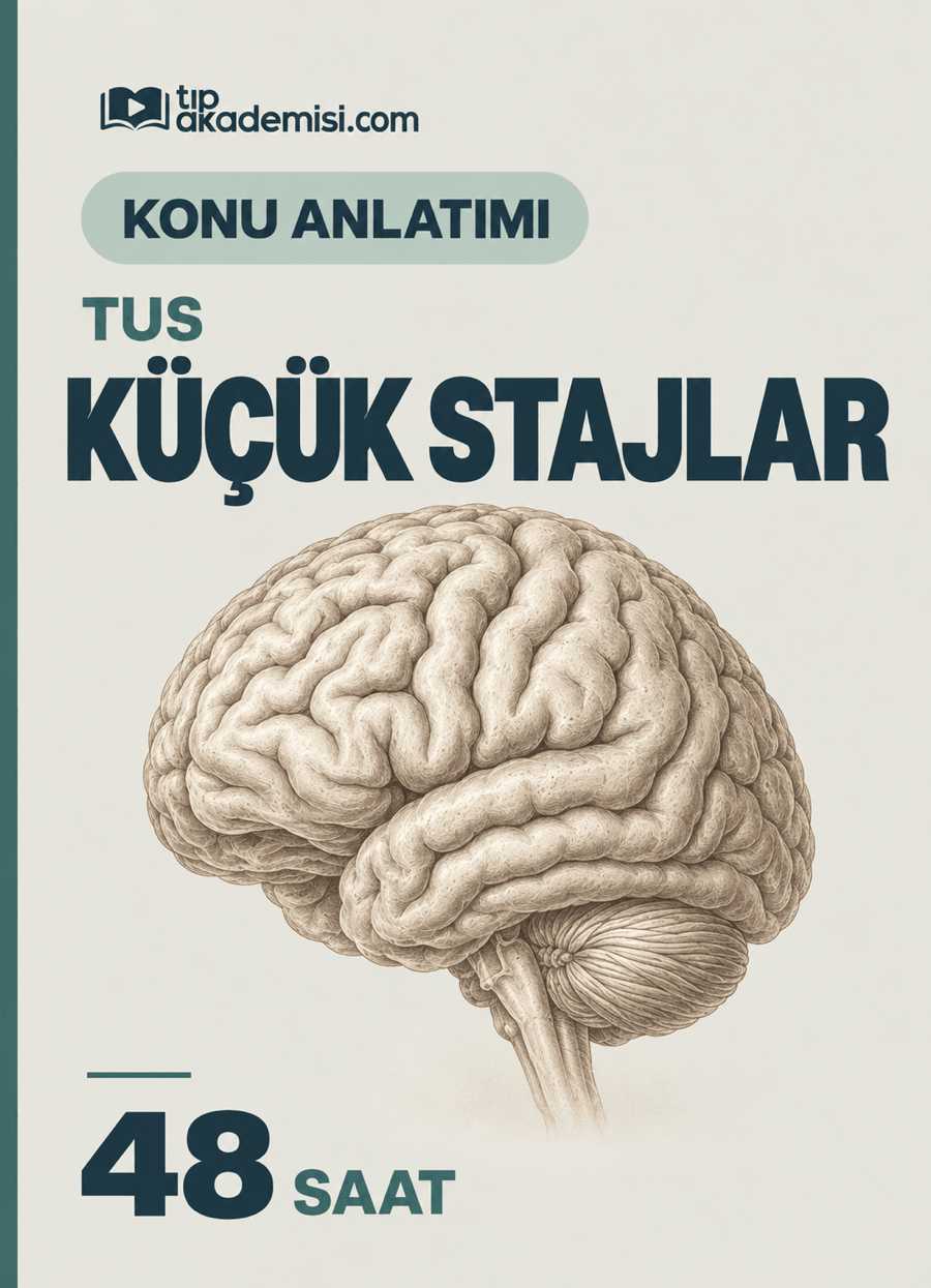 TUS Küçük Stajlar Konu Anlatım Video Paketi — görsel 3