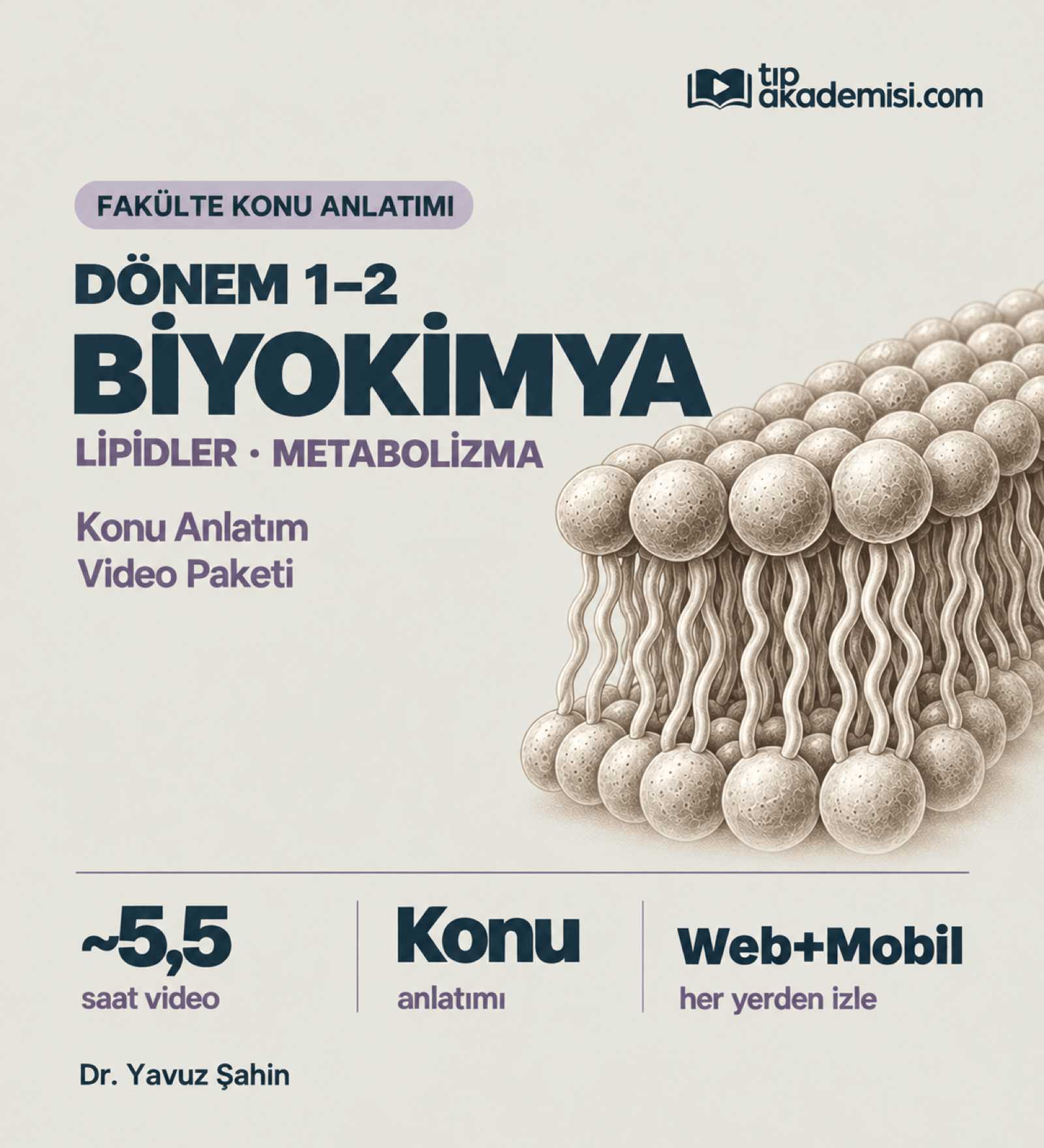 Fakülte Dönem 1-2 Biyokimya Lipidler ve Metabolizma Entegrasyonu (Konu Anlatımı) — görsel 2