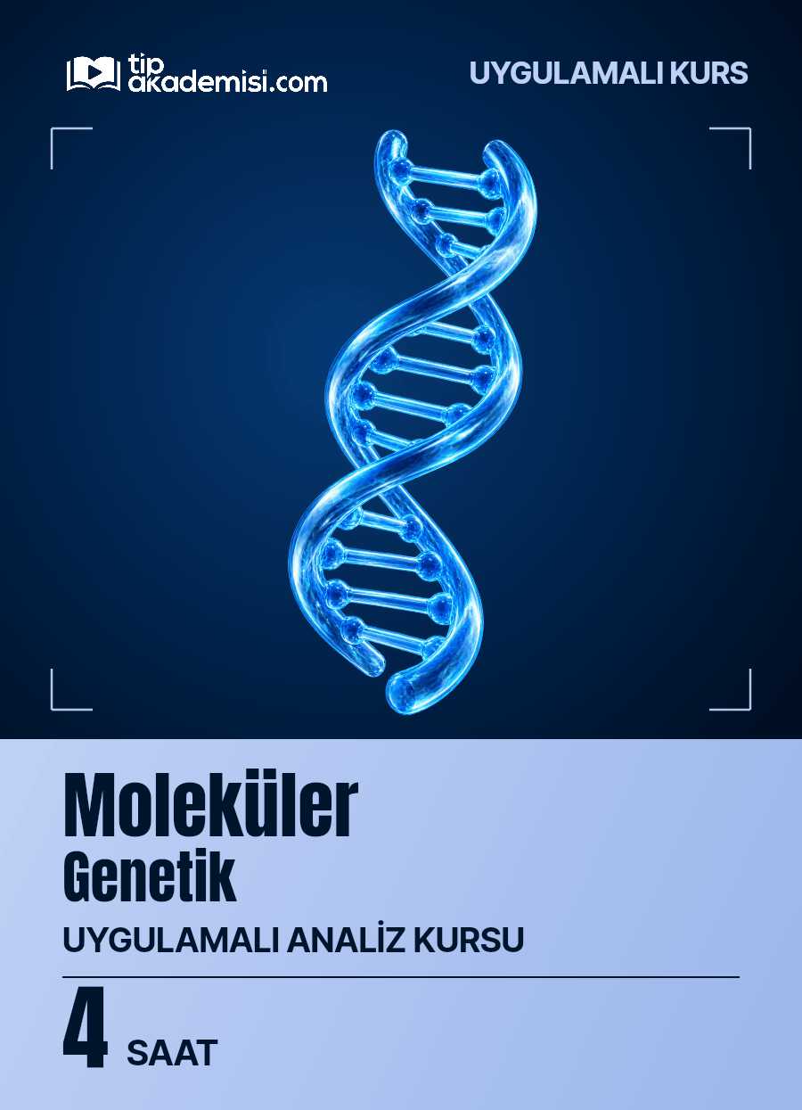Uygulamalı Moleküler Genetik Analiz Kursu — görsel 5