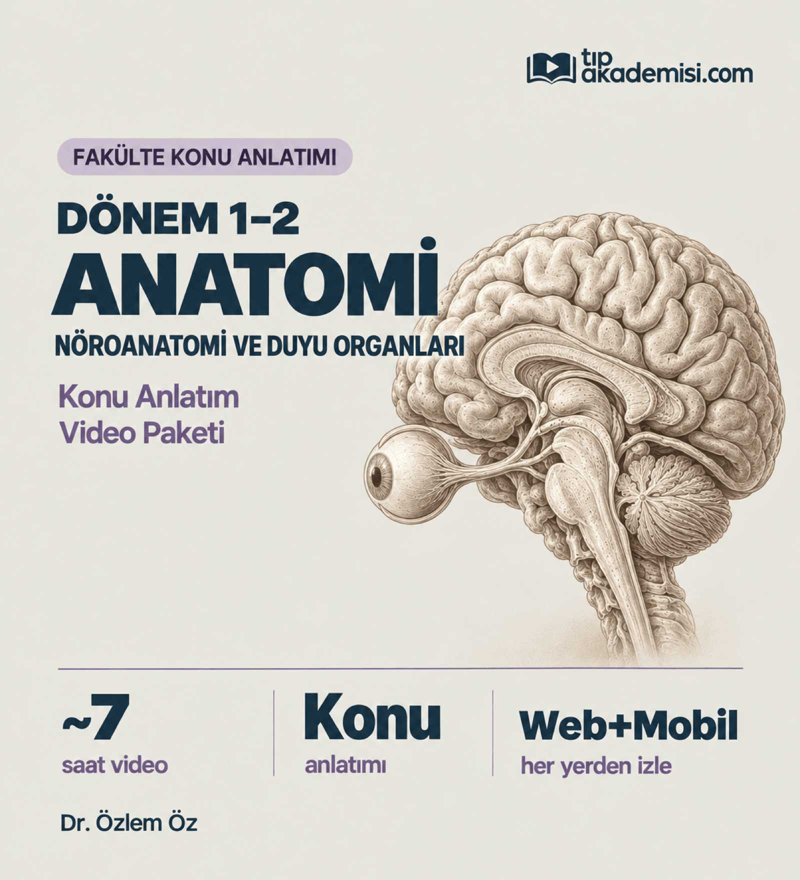 Fakülte Dönem 1-2 Anatomi Nöroanatomi ve Duyu Organları (Konu Anlatımı) — görsel 2