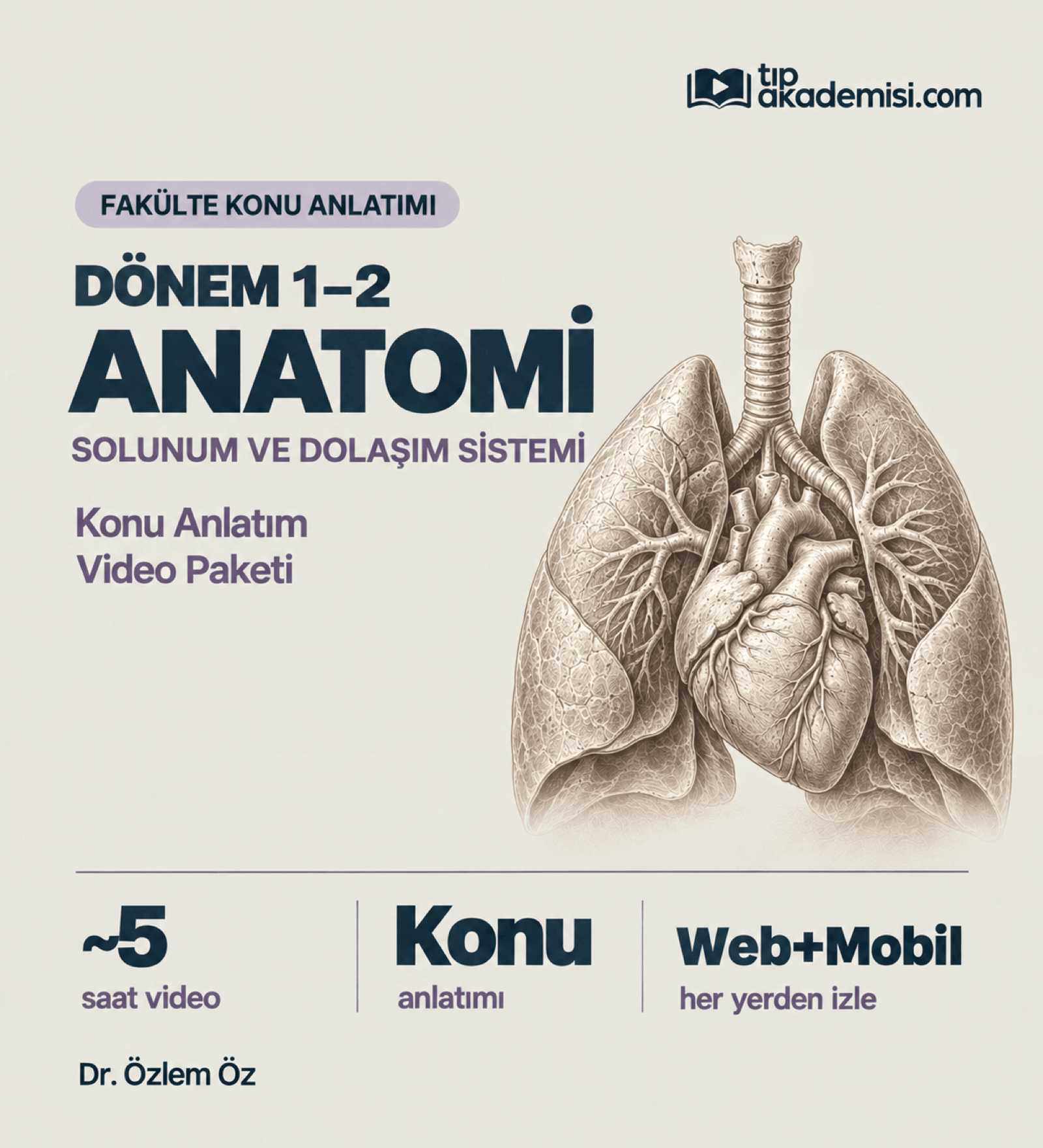 Fakülte Dönem 1-2 Anatomi Solunum ve Dolaşım Sistemi (Konu Anlatımı) — görsel 2