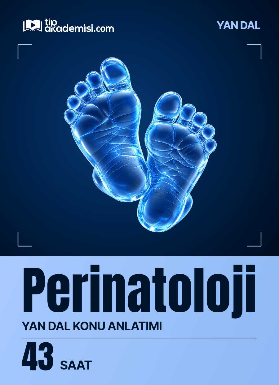 Perinatoloji Yan Dal Konu Anlatımı — görsel 5