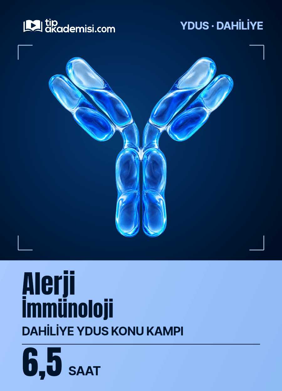 Alerji - İmmünoloji YDUS Dahiliye Konu Kampı — görsel 4