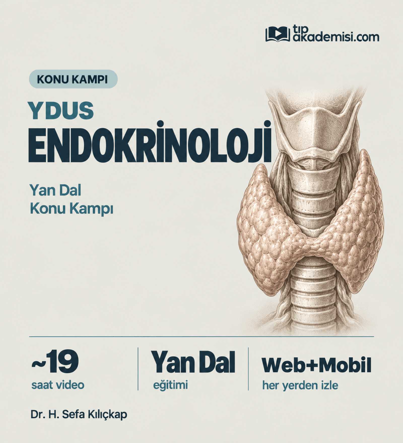 Endokrinoloji YDUS Dahiliye Konu Kampı — görsel 2