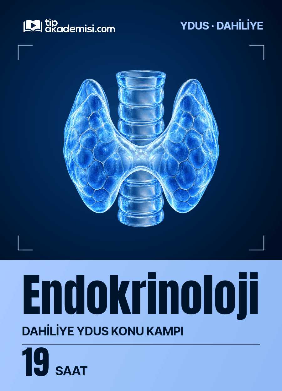 Endokrinoloji YDUS Dahiliye Konu Kampı — görsel 5