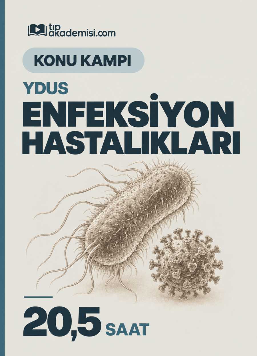 Enfeksiyon Hastalıkları YDUS Dahiliye Konu Kampı — görsel 3