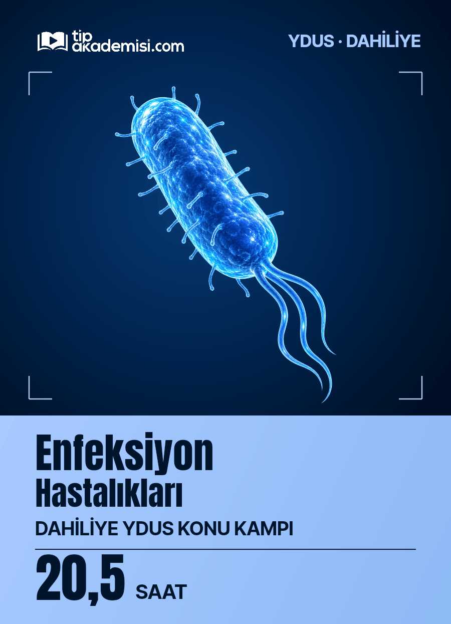 Enfeksiyon Hastalıkları YDUS Dahiliye Konu Kampı — görsel 5