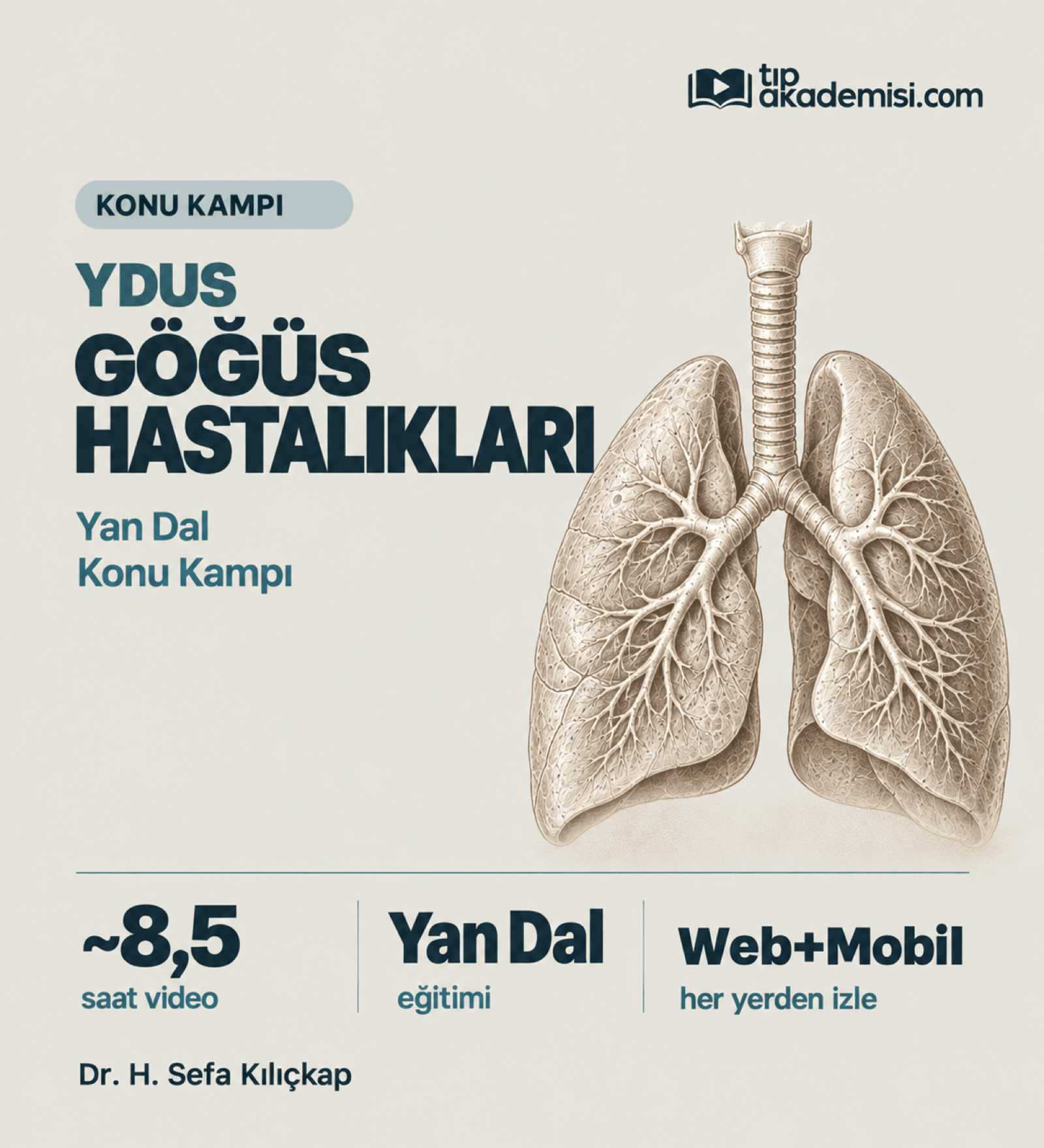 Göğüs Hastalıları YDUS Dahiliye Konu Kampı — görsel 2