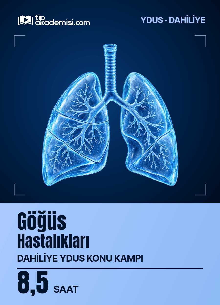 Göğüs Hastalıları YDUS Dahiliye Konu Kampı — görsel 5
