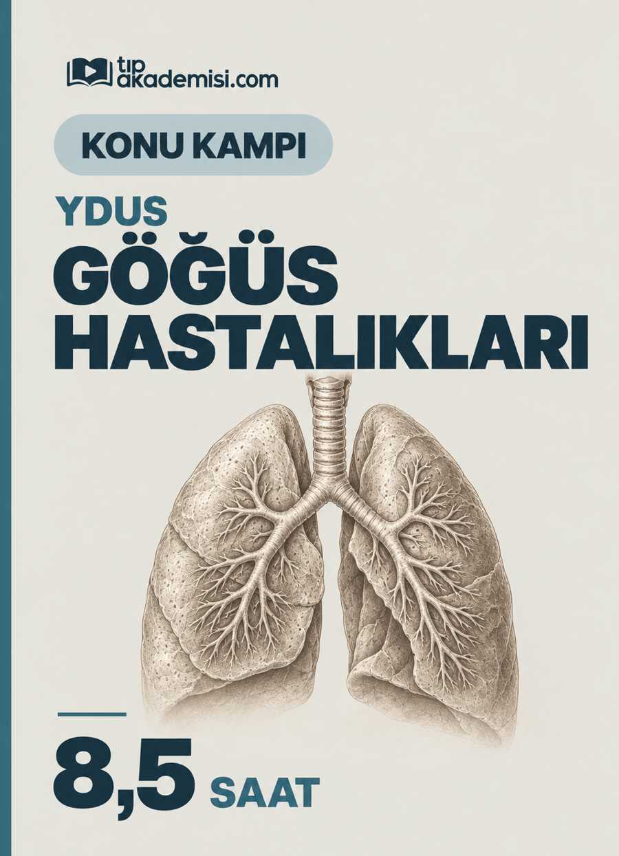 Göğüs Hastalıları YDUS Dahiliye Konu Kampı — görsel 3
