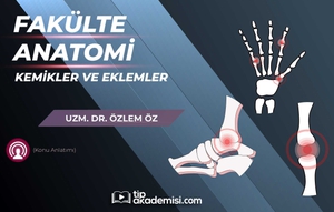 Fakülte Dönem 1-2 Anatomi Kemikler ve Eklemler (Konu Anlatımı)