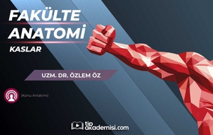 Fakülte Dönem 1-2 Anatomi Kaslar (Konu Anlatımı)