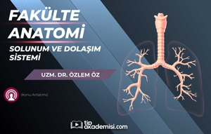 Fakülte Dönem 1-2 Anatomi Solunum ve Dolaşım Sistemi (Konu Anlatımı)