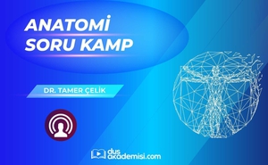 DUS Anatomi Soru Kampı