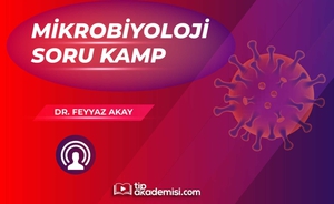 TUS Mikrobiyoloji Soru Kampı