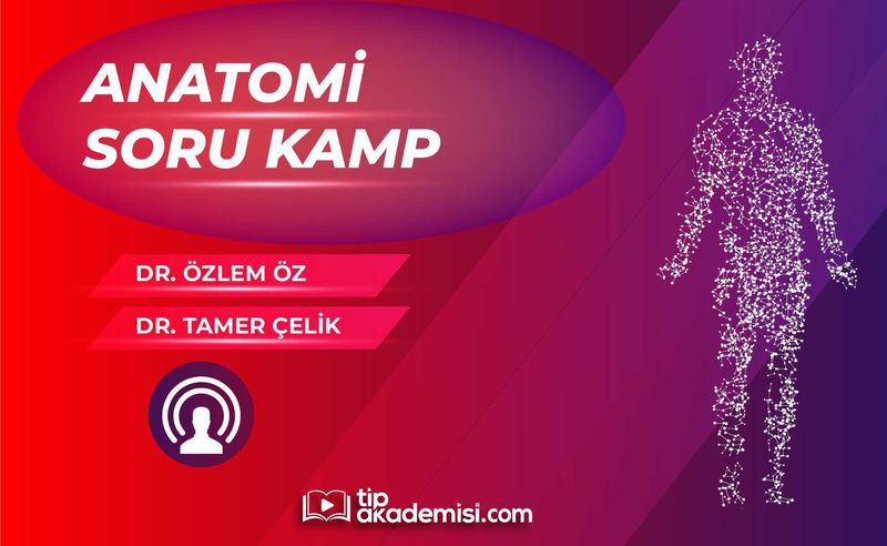 TUS Anatomi Soru Kampı