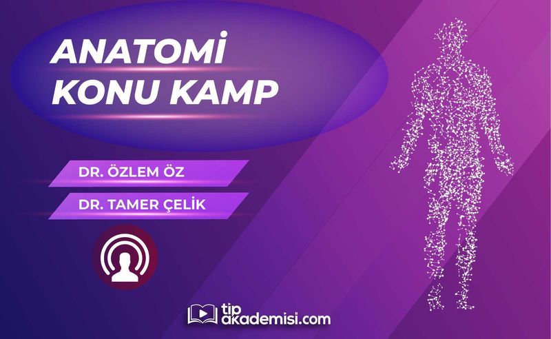 TUS Anatomi Konu Kampı